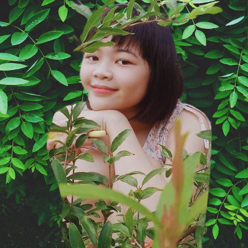 vy-phong
