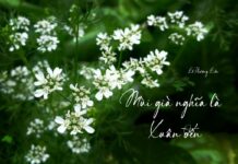 Mùi già nghĩa là Xuân đến