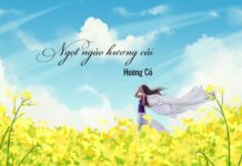 Ngọt ngào hương cải