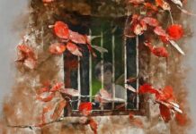 Trên ô cửa mùa Đông