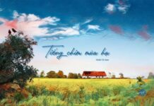 Tiếng chim mùa hạ