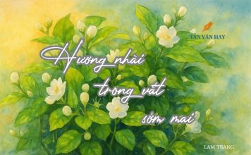 Hương nhài trong vắt sớm mai