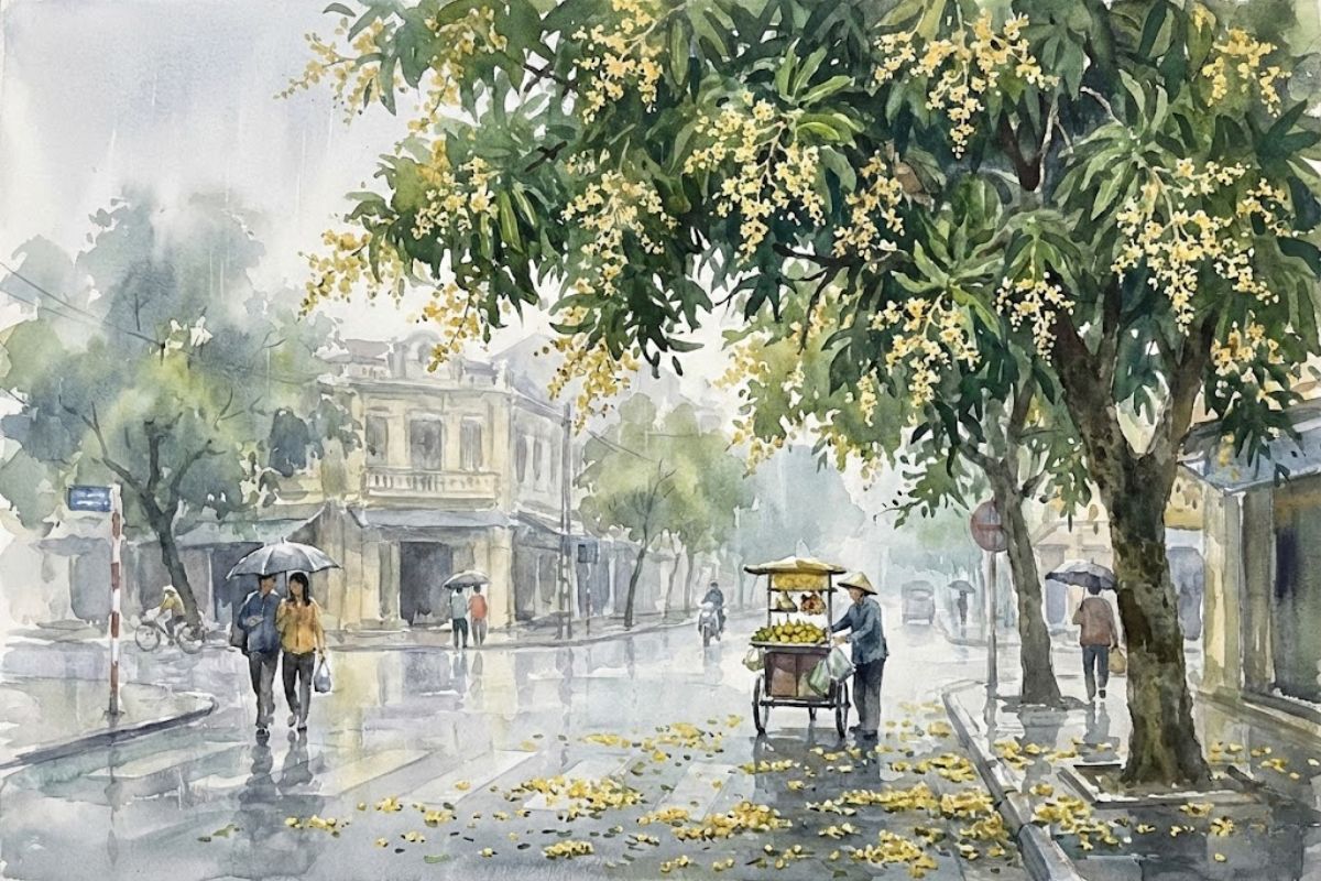 Mua-sao-roi-tren-vom-la-xanh